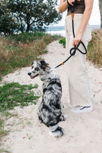 Load image into Gallery viewer, Rope Slip Lead - Black - The Original Charlie