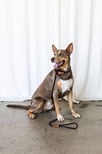 Load image into Gallery viewer, Rope Slip Lead - Black - The Original Charlie