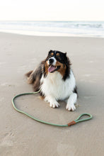 Load image into Gallery viewer, Rope Slip Lead - Gum Leaf Green - The Original Charlie