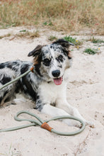 Load image into Gallery viewer, Rope Slip Lead - Gum Leaf Green - The Original Charlie