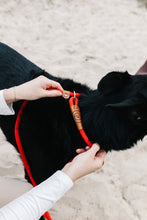 Load image into Gallery viewer, Rope Slip Lead - Velvet Red - The Original Charlie