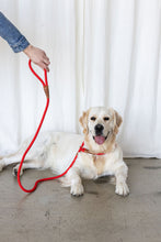 Load image into Gallery viewer, Rope Slip Lead - Velvet Red - The Original Charlie