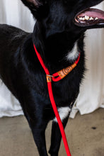 Load image into Gallery viewer, Rope Slip Lead - Velvet Red - The Original Charlie