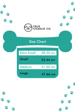 Load image into Gallery viewer, Teal Martingale Collar - Buckle
