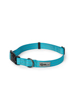 Load image into Gallery viewer, Teal nylon dog collar with plastic clip