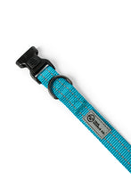 Load image into Gallery viewer, Teal nylon dog collar with plastic clip