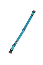 Load image into Gallery viewer, Teal nylon dog collar with plastic clip