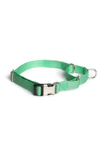 Load image into Gallery viewer, Teal Martingale Collar - Buckle