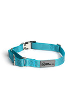 Load image into Gallery viewer, Sky Blue Martingale Collar - Buckle