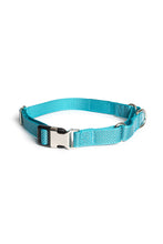 Load image into Gallery viewer, Sky Blue Martingale Collar - Buckle