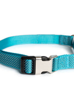 Load image into Gallery viewer, Sky Blue Martingale Collar - Buckle