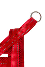 Load image into Gallery viewer, Red Dog Harness - The Storm
