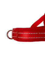 Load image into Gallery viewer, Red Dog Harness - The Storm