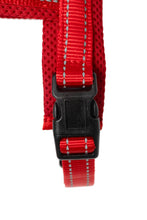 Load image into Gallery viewer, Red Dog Harness - The Storm