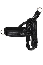 Load image into Gallery viewer, Black Dog Harness - The Storm