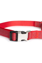 Load image into Gallery viewer, Velvet Red Martingale Collar - Buckle