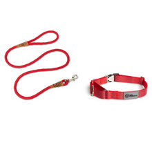 Load image into Gallery viewer, The Steady Walker Set