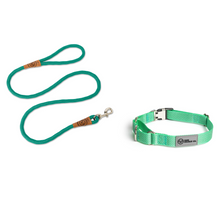 Load image into Gallery viewer, The Steady Walker Set