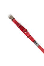 Load image into Gallery viewer, The Steady Walker Set