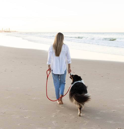 Pros and Cons of Slip Leashes