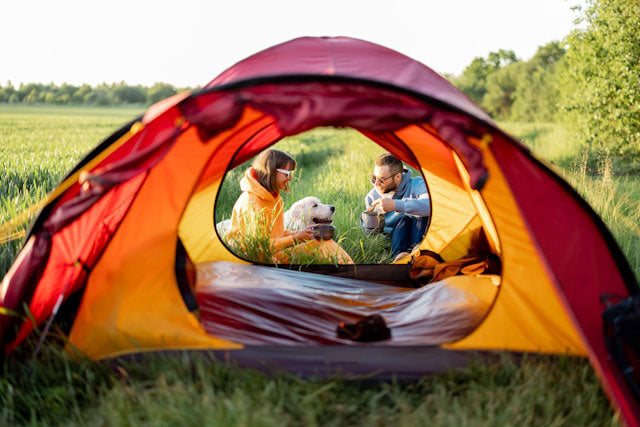 The Ultimate Guide to Camping with Dogs