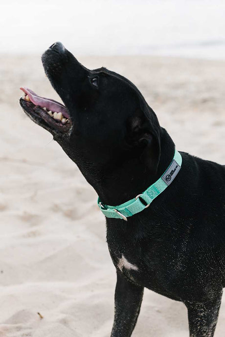 Pros & Cons of Martingale Collars