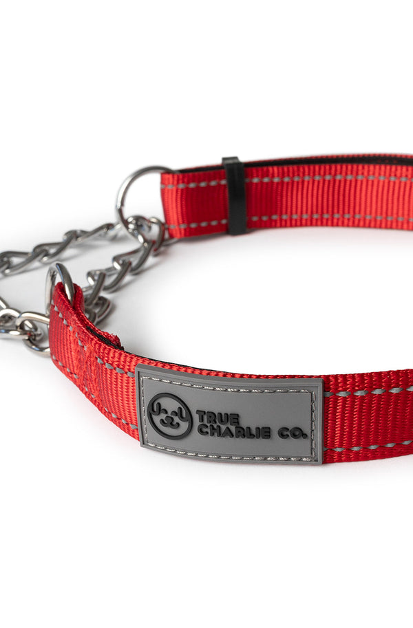 Buckle vs Chain Martingale: Which Should You Choose?