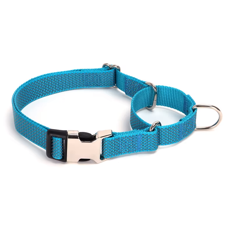 Blue Martingale Collar - Buckle