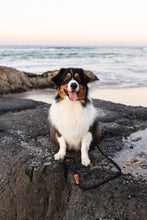 Load image into Gallery viewer, Rope Slip Lead - Black - The Original Charlie
