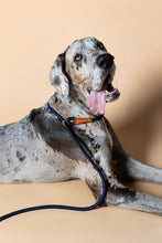 Load image into Gallery viewer, Rope Slip Lead - Ocean Blue - The Original Charlie
