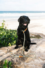 Load image into Gallery viewer, Rope Slip Lead - Gum Leaf Green - The Original Charlie
