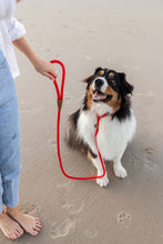 Load image into Gallery viewer, Rope Slip Lead - Velvet Red - The Original Charlie
