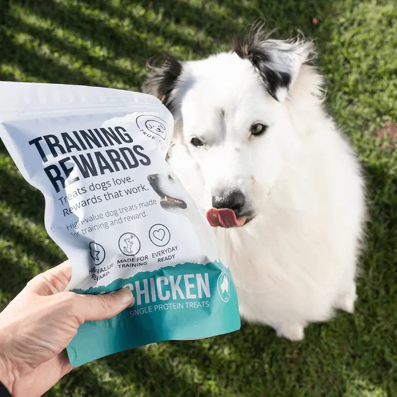 Why dog owners choose Charlie