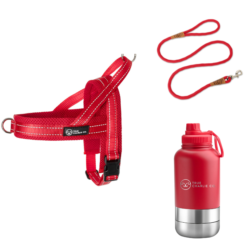 The Everyday Essentials Pack