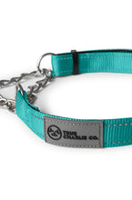 Load image into Gallery viewer, Costal Teal Martingale Collar - Chain
