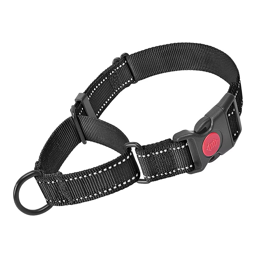Black Martingale Collar - Webbing