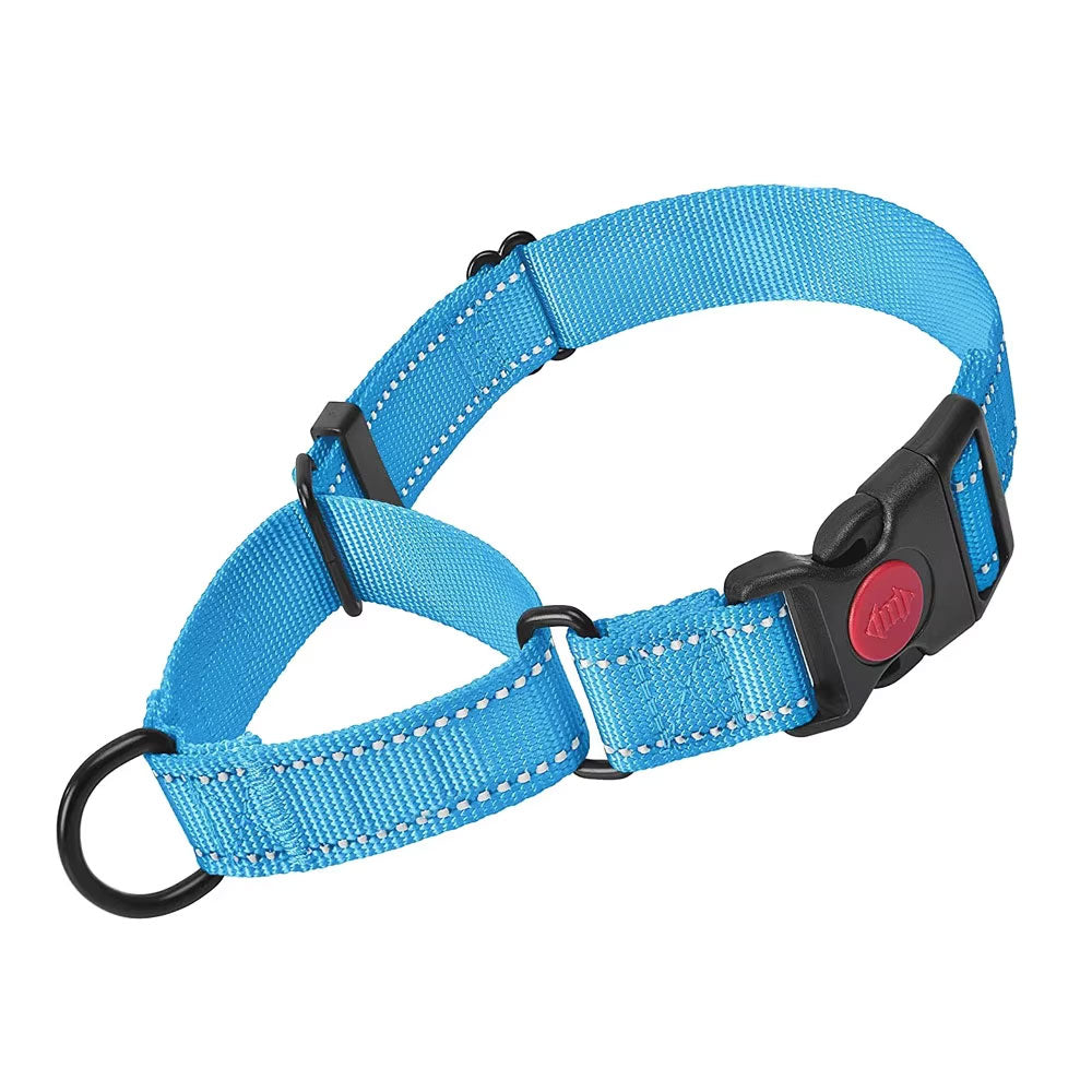 Blue Martingale Collar - Webbing