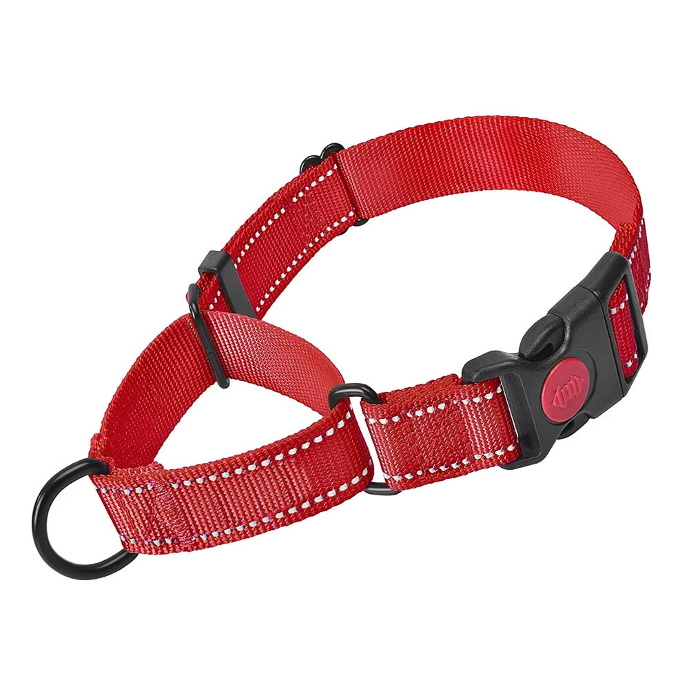 Red Martingale Collar - Webbing