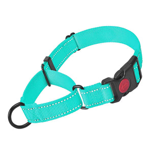 Teal Martingale Collar - Webbing