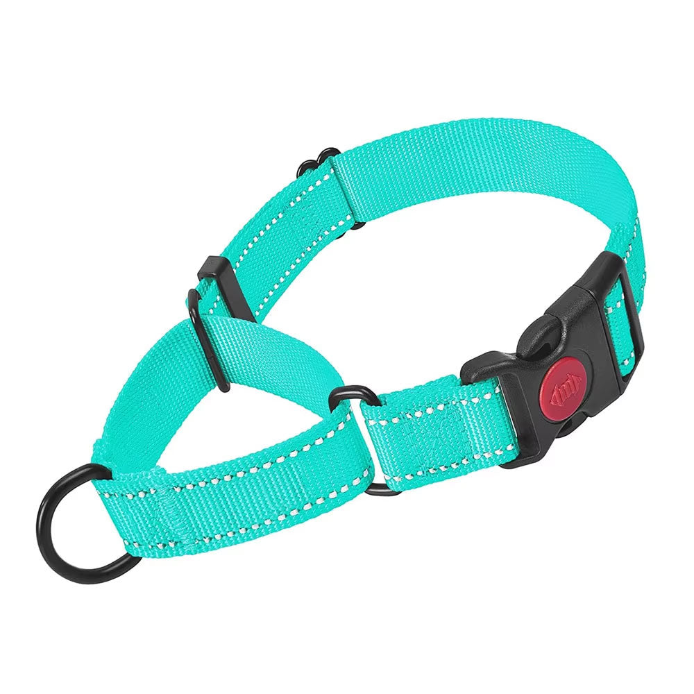 Teal Martingale Collar - Webbing
