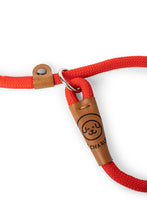 Load image into Gallery viewer, Dog slip leash in 12mm red rope with leather features
