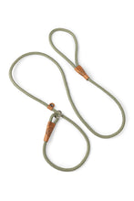 Load image into Gallery viewer, Dog slip leash in 8mm gum leaf green rope with leather features
