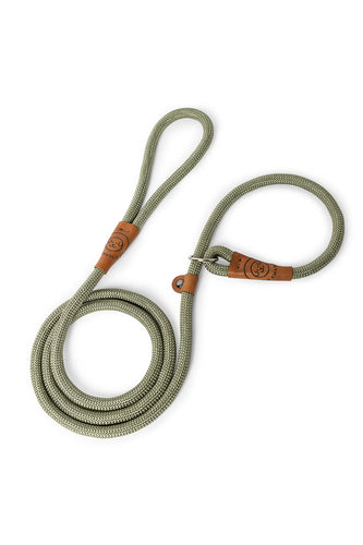 Dog slip leash in 12mm gum leaf green rope with leather features