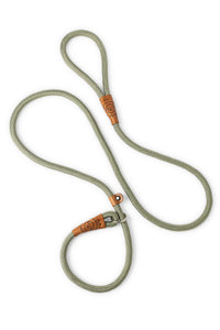 Dog slip leash in 12mm gum leaf green rope with leather features