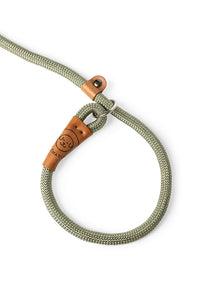 Dog slip leash in 12mm gum leaf green rope with leather features