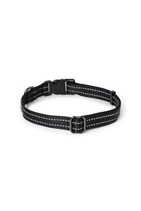 Black nylon dog collar with plastic clip