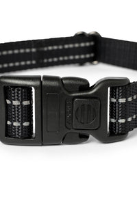 Black nylon dog collar with plastic clip