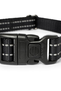 Black nylon dog collar with plastic clip