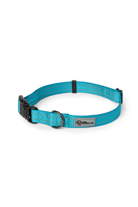 Teal nylon dog collar with plastic clip
