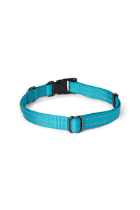 Teal nylon dog collar with plastic clip